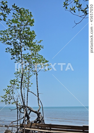 Black sand beach 45657050