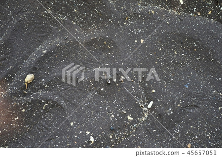 Black sand beach 45657051