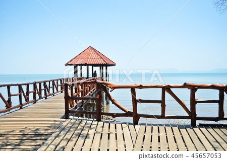 Black sand beach 45657053