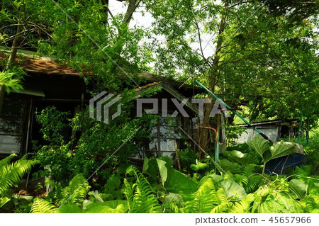 Abandoned abandoned shop 45657966