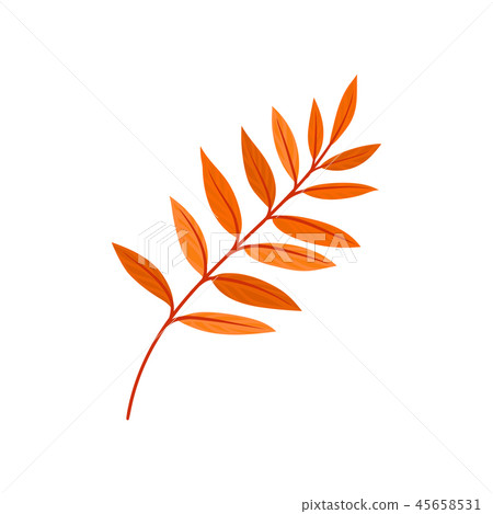 Bright autumn rowan leaf vector Illustration on a white background Bright autumn rowan leaf vector Illustration on a white background 45658531