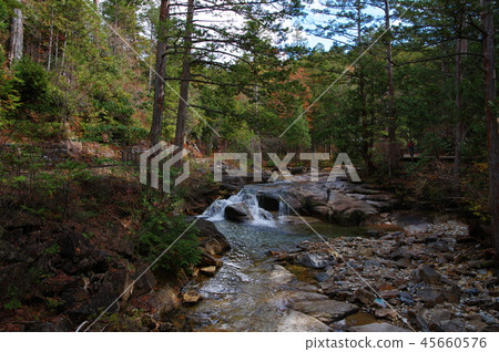 Akazawa natural recreation forest 45660576