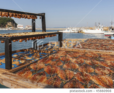 魚天堂日出 45660908