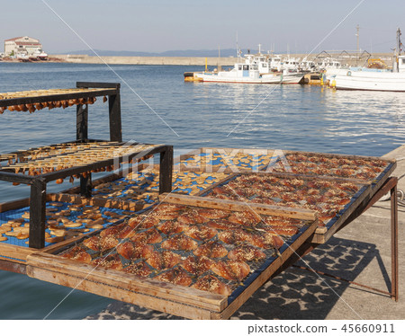 Fish heaven sunrise Fish heaven sunrise 45660911