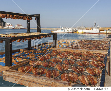 Fish heaven sunrise 45660913