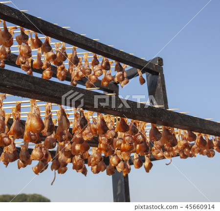 Sun-dried clam Sun-dried clam 45660914