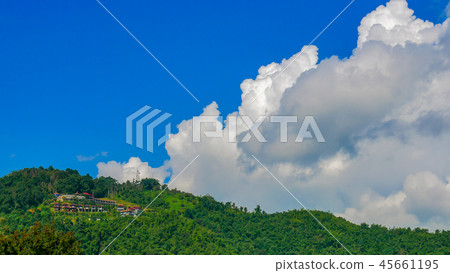 Tea Plantation in Doi Mae Salong, Chiang Rai Provi 45661195