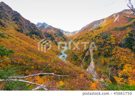 Kamikochi Fukuzawa捲曲 45661750