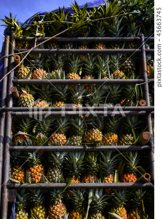 Pineapple fruit on truck 45663745