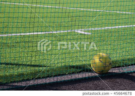 Grass ground Grass ground 45664678