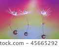 閃亮的水滴 45665292