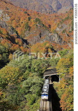 秋葉Tadami線 45666536