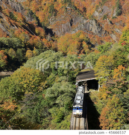 秋葉Tadami線 45666537