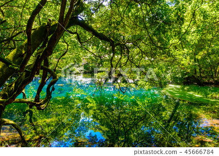 Mr. Maruike Mr. Maruike 45666784