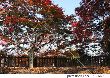 Binaka Matsuyama Castle (Existing Tenshu Japan Hyakumei Castle Autumn leaves Takahashi City, Okayama Prefecture) Binaka Matsuyama Castle (Existing Tenshu Japan Hyakumei Castle Autumn leaves Takahashi City, Okayama Prefecture) 45666989