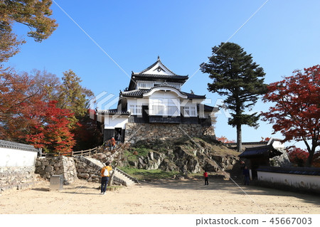 Binanaka Matsuyama Castle Honmaru Tenshu (Existing Tenshu Japan Hyakumei Castle Autumn leaves Takahashi City Okayama Prefecture) 45667003