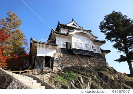 Binaka Matsuyama Castle Tenshu (the existing castle tower 100 Japanese castles Takahashi City Okayama Prefecture) 45667007