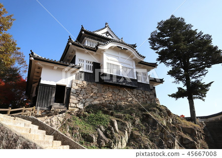 Binaka Matsuyama Castle Tenshu（現有的Tenshu日本Hyakumei城堡高橋市，岡山縣） 45667008