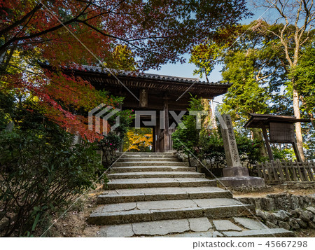 八幡宮（延禎寺） 45667298