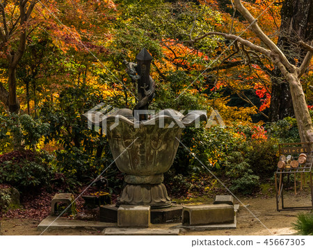 八幡宮（延禎寺） 45667305