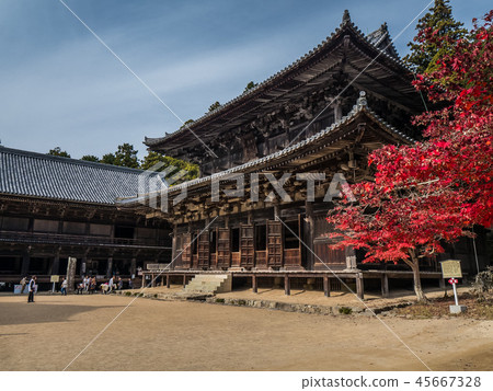 八幡宮（延禎寺） 45667328