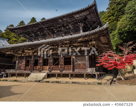 八幡宮（延禎寺） 45667329