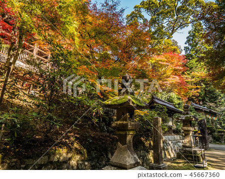 八幡宮（延禎寺） 45667360