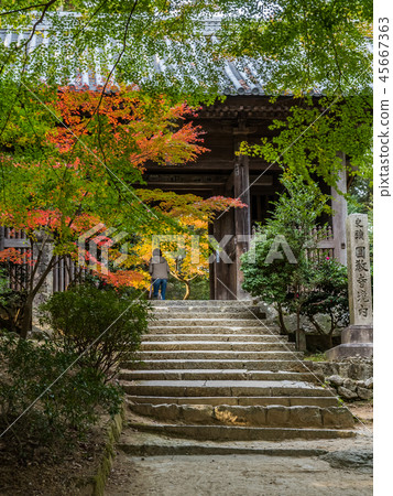 八幡宮（延禎寺） 45667363