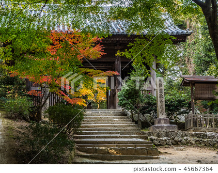 八幡宮（延禎寺） 45667364