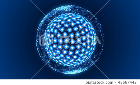 The network 45667442