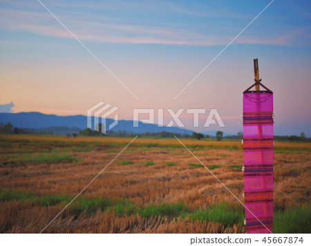Countryside in evening. Countryside in evening. 45667874