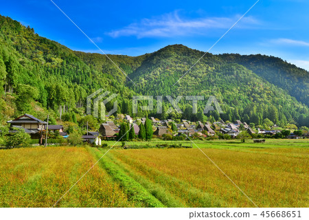 Cityscape of Miyama 45668651