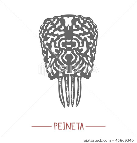 Traditional Spanish Comb Peineta in Hand-Drawn Style 45669340