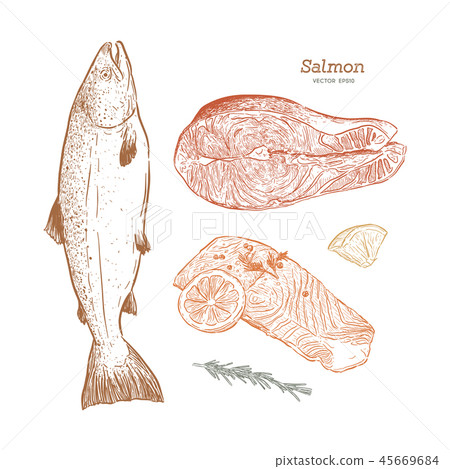 Ink sketch of salmon. Hand drawn vector Ink sketch of salmon. Hand drawn vector 45669684