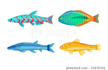 Mackerel Blue Fish Zebra Mbuna Vector Illustration Mackerel Blue Fish Zebra Mbuna Vector Illustration 45670342
