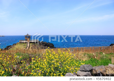 Sea, sperm, rural 45670402