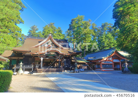 Katori Jingu Shrine under fine weather 45670516