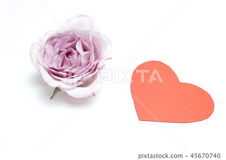 Silverston Rose on a white background with a red heart. Valentine's day concept 45670740