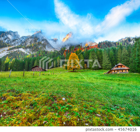 idyllic colorful autumn scenery in Gosausee la idyllic colorful autumn scenery in Gosausee la 45674016