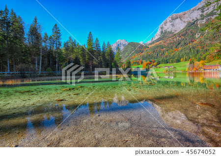 Beautiful autumn sunrise scene with trees 45674052