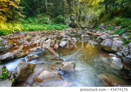Beautiful natural landscape in the summer Beautiful natural landscape in the summer 45674176