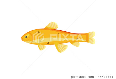 Red Zebra Mbuna Yellow Fish Vector Illustration 45674554