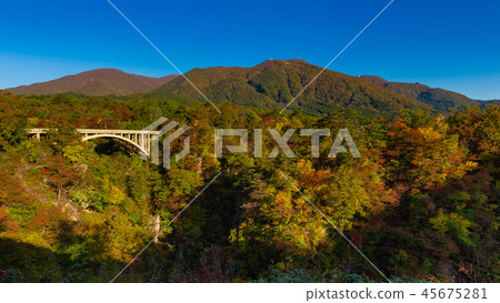 Naruko狹窄 45675281