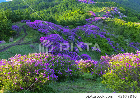 Jeollabuk-do, Korea, Baraebong Jeollabuk-do, Korea, Baraebong 45675886