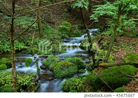 Beautiful blue flow @ Saki Inizawa water group Tochigi 45675887