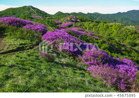 韓國全羅北道巴拉峰 韓國全羅北道巴拉峰 45675895