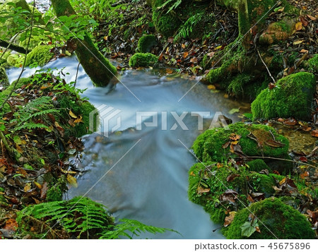 美麗的藍色流@ Saki Inizawa水組栃木 45675896