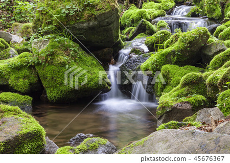 Gangwon-do, Korea, Taebaek, Sangdong, Moss Valley Gangwon-do, Korea, Taebaek, Sangdong, Moss Valley 45676367