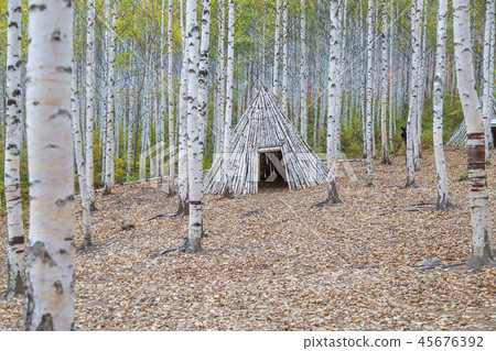 Gangwon-do, Korea, Inje, Won Deputy, Birch, Forest 45676392