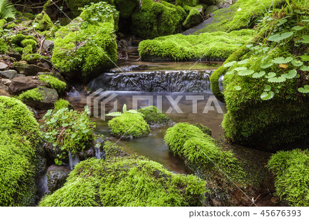 Gangwon-do, Korea, Taebaek, Sangdong, Moss Valley Gangwon-do, Korea, Taebaek, Sangdong, Moss Valley 45676393